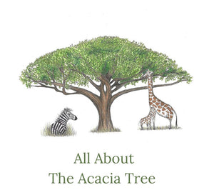 All About The Acacia