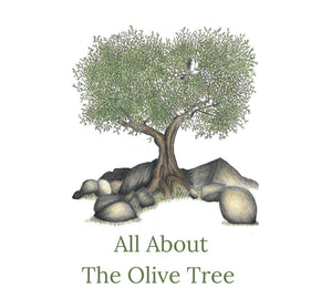 All About The Olive Tree