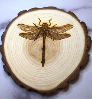 Wood slice coaster with dragonfly 