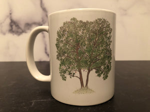 Coffee Mug - Alder Tree